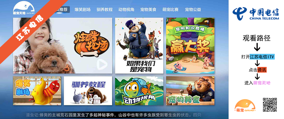 江苏电信