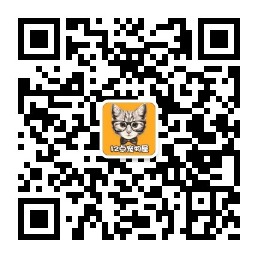 微信公众帐号: Pet-12AM